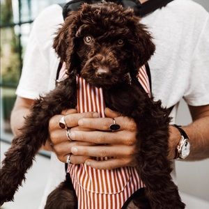 Meet your Posher, Brailyn